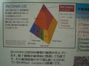 歯周病菌の悪玉3兄弟