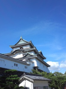 和歌山城に行きました☆