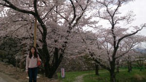 篠山城にて花見