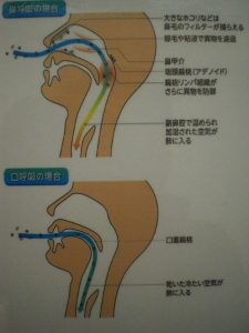 意識して鼻呼吸を！