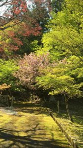 妙高山神池寺