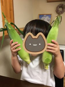 夏野菜の季節