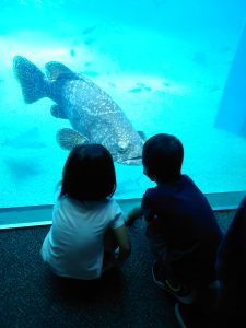 水族館