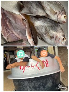 魚釣り