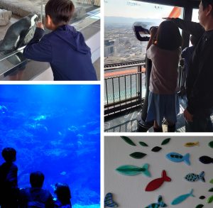 水族館