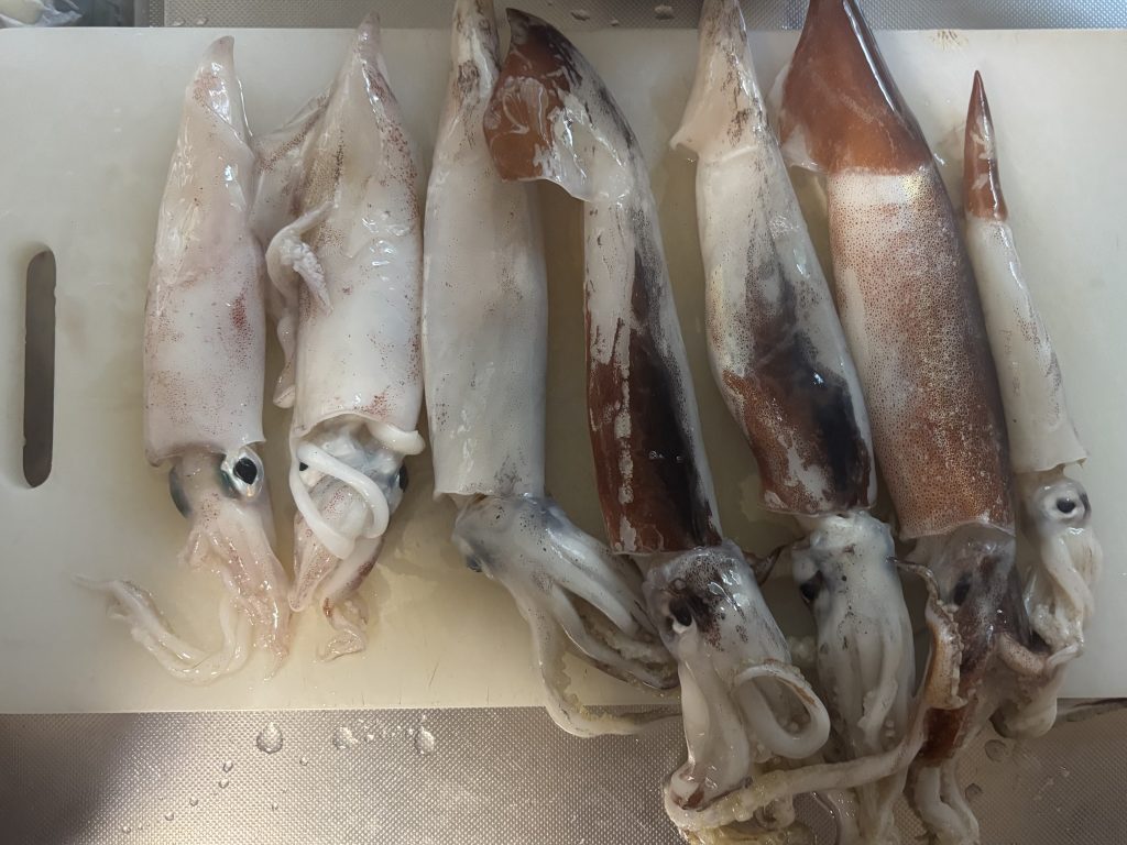 イカ釣り①