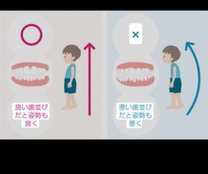 姿勢の秘密