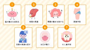 噛む事の大切さ
